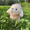 Doll Cute Puppy Lace Plush Toy Children Birthday Holiday Gift Girl Bed Doll