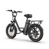 URLIFE-E20 20"x3" Fat Tire Electric Bike 250W Motor 48V 13AH Battery 80-100KM Range Ideal for Commute & Adventure