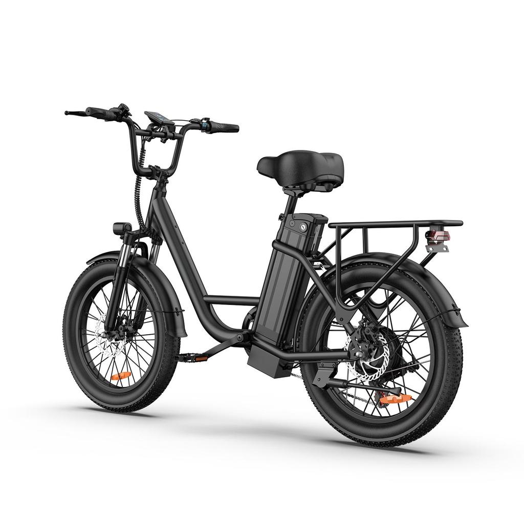 URLIFE-E20 20"x3" Fat Tire Electric Bike 250W Motor 48V 13AH Battery 80-100KM Range Ideal for Commute & Adventure