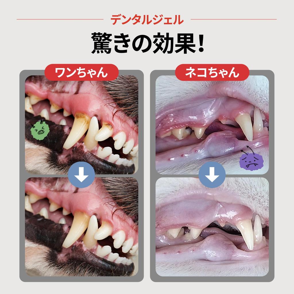 JAYU PET Dentifrice Gel Dentaire pour Chiens et Nettoyage des Dents Contre la Plaque et le Tartre et Mauvaise Haleine Soin Dentaire pour Chiots et Approuvé par les Vétérinaires - Chats,