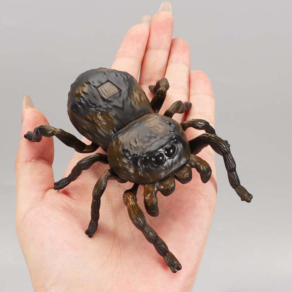 Simulation Chain Winding Insect Toys Plastic Animals Wind Up Insect Insect Model Toy  Party Gifts