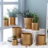 Decorațiuni pentru casă – Ghivece de flori decorative