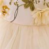 Chic Princess Birthday Dress: Fluffy Tulle, Bow, and Appliqué Design for Girls