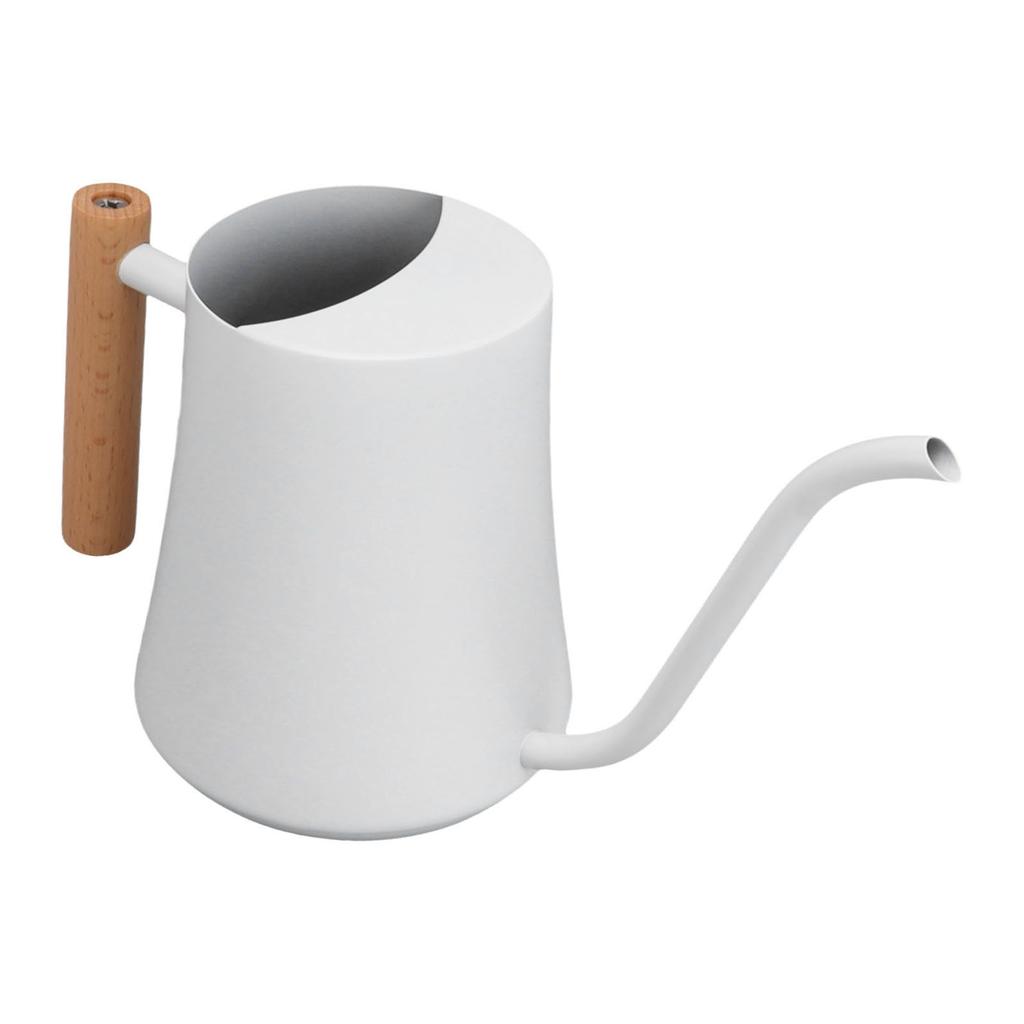 Stainless Steel Watering Can Pot Retro Small Plant Watering Can with Wooden Handle for Indoor Outdoor 1000ML