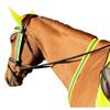 HyVIZ Horse Martingale