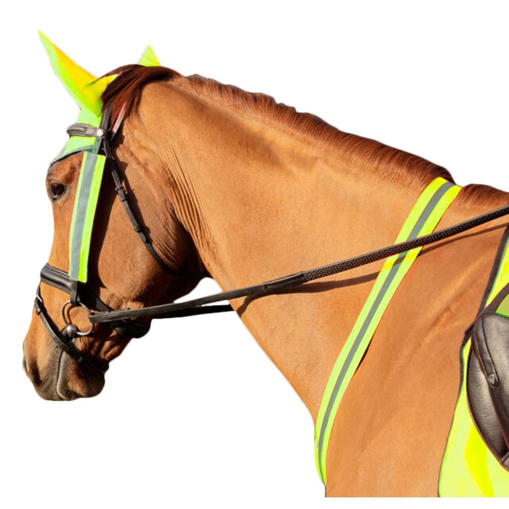 HyVIZ Horse Martingale