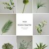 Nordic Eucalyptus Money Leaf Zen Allium Faux Flower Arrangement Ornament