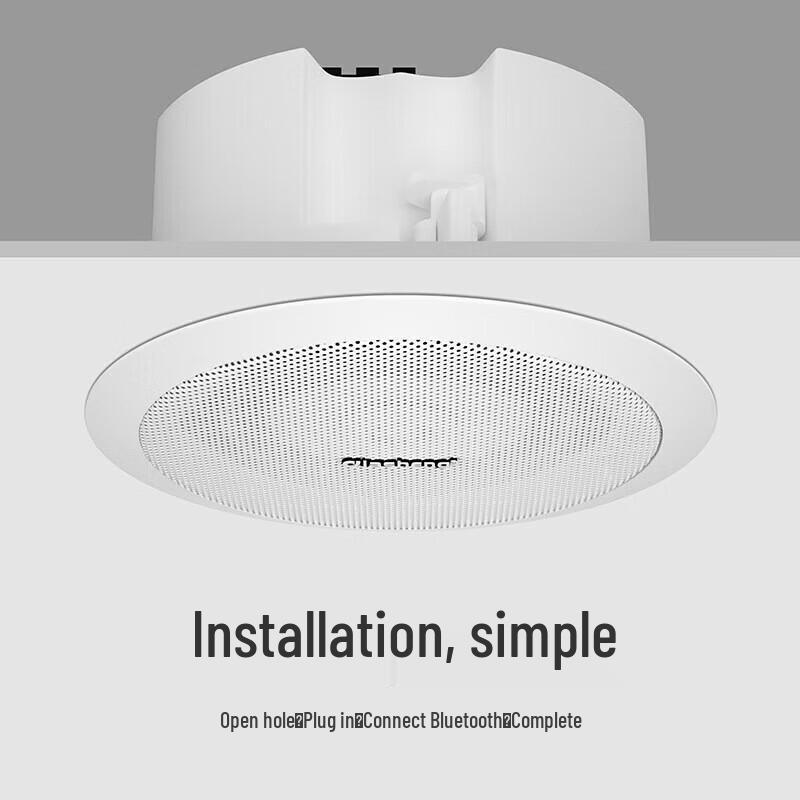 QIASHENG Wireless Bluetooth Ceiling Speaker System CN plug (adapter included) (CN version)