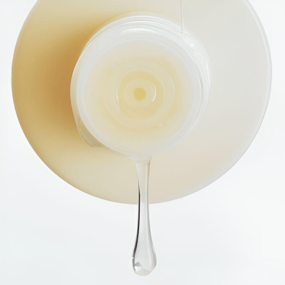 Abib Resurrection Plant PHA Toner Skin Booster Gentle Exfoliating Hydrating Toner 200ml