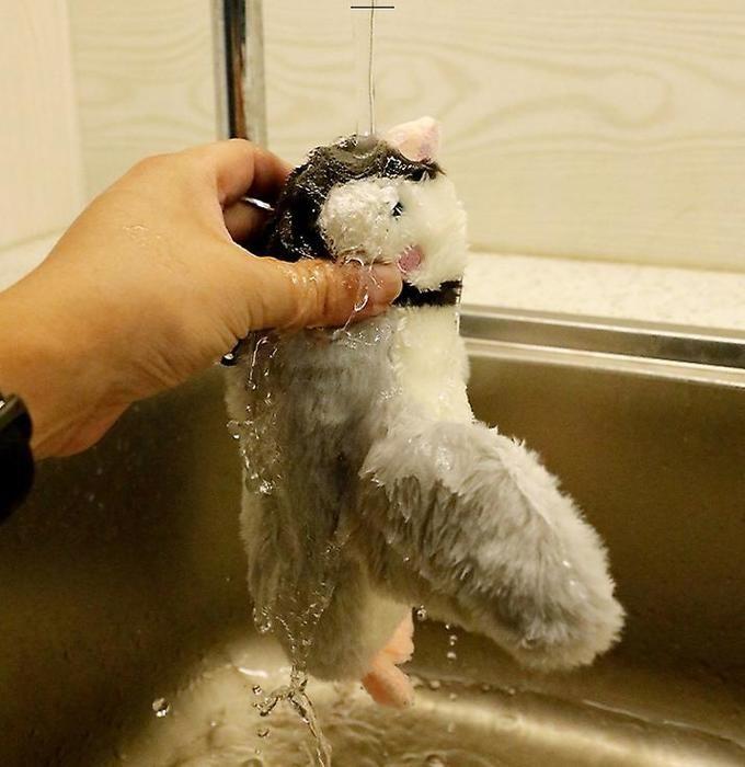 Jouet électronique interactif - AUCUNE MARQUE - Oiseau volant - Ailes pivotantes - Pour chat - Intérieur