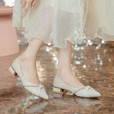 Pointed Thick Heel Single Shoes Women's New Medium Heel Shallow Mouth Temperament with Skirt Evening Wind Large Size