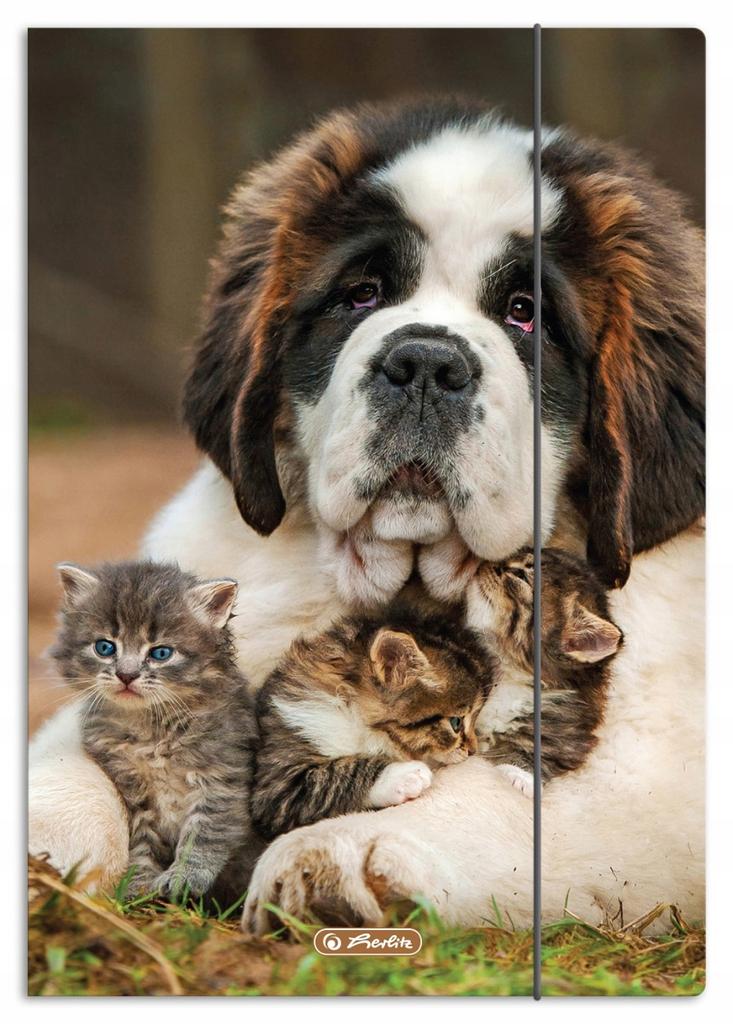 TECZKA RYS.A4 Z GUM.ANIMALS  300023013 A'10