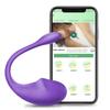 Remote Control Vibrating Egg Powerful Toys for Women Love Eggs G Spot Clitoris Stimulator