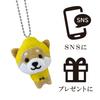 LamPlanning Mameshiba Keychain Mascot Ball Chain Bag Charm Cute Fluffy Dog Shiba Inu Mameshiba Healing Buddha [] Series-14Traveling (Great Yellow)