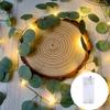 Solar-Lichterketten mit 100 LEDs, IP65 wasserdicht, für Feiertagsdekoration und Outdoor-Ambiente
