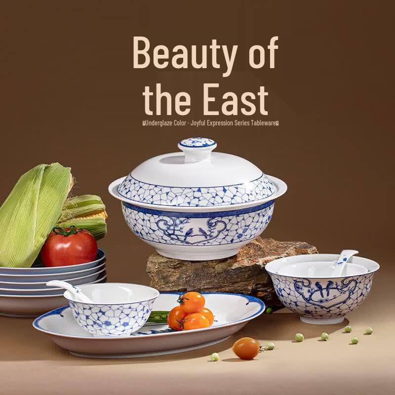 Aowei Jingdezhen European Blue & White Dinnerware Set
