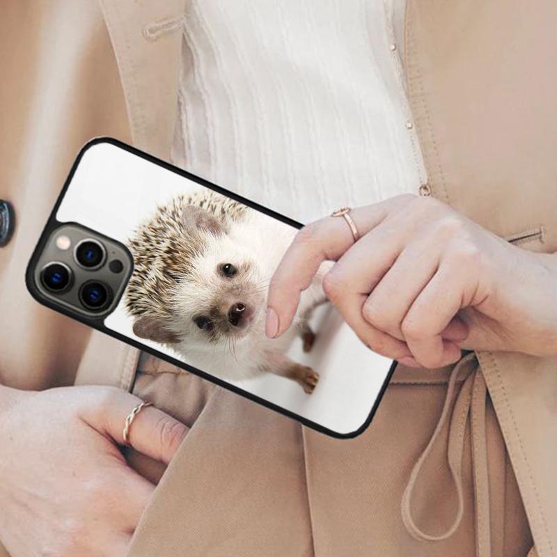 Kawaii Little Hedgehog Colored Magnetic Phone Case For APPLE iPhone 17 Air 16 14 13 12 Pro Max 15 Plus Wireless MagSafe Cover