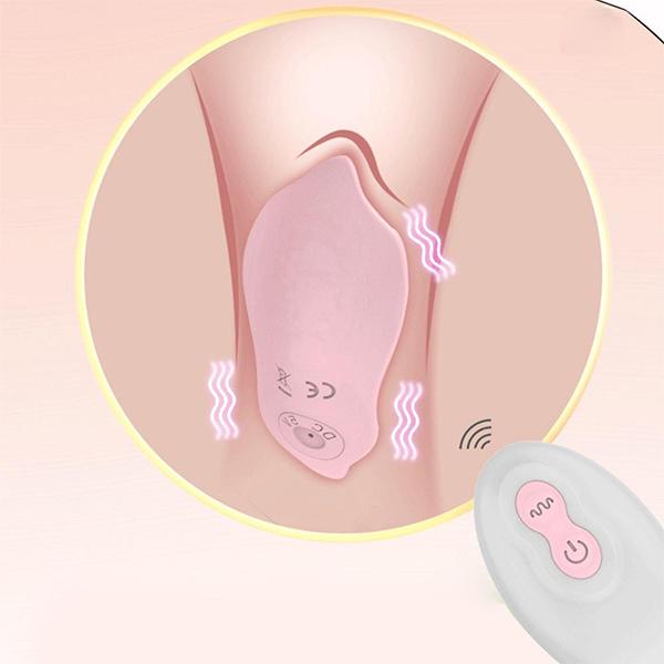 Wearable Panties Dildo Sex Toys Wireless Remote Control Sex Toys for Women 10 Speed G Spot Clitoris Stimulate Vagina Orgasm
