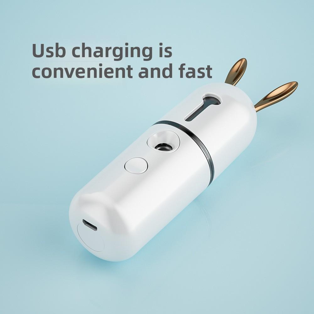 Cartoon Hydrating Spray Instrument Face Steamer Household Handheld Charging Portable Cold Spray Facial Humidifying Hydrating Instrument