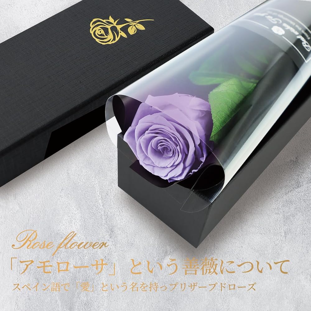 Preserved Flower - Single Rose - Gift for Birthdays, Anniversaries, Graduations, Retirements,