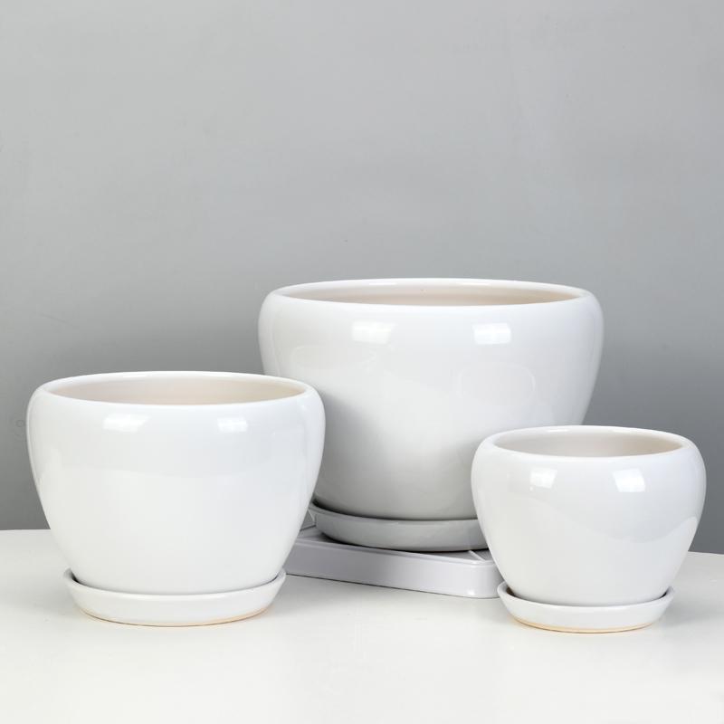 White Ceramic Orchid Pot, Large Elegant Design for Living Room