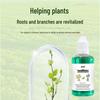 Plant Revival Nutrient Solution for Flowers & Greenery: Revives Bare Stems & Half-Dead Plants, Multi-Purpose Gardening Aid.