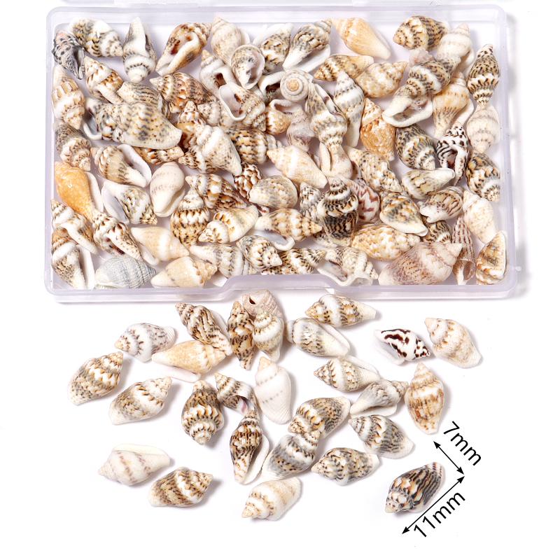 1 Box Sea Shell Spiral Shell Tiny Ocean Spiral Seashell Conch Crafts Aquarium Decoration Landscaping Accessory Photography Props