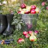 Orion Stainless Steel Bucket with Handle, 12 L, 31 x 27 cm