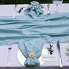 12PCS Cotton Solid Color Table Napkins Soft Reusable Cloth Napkins For Wedding Birthday Party Bride Shower Dining Table Decor