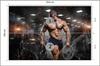 Photomural Muscular Man At The Gym Smooth Vinyl 254x184