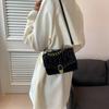 Chic Fashionable Korean Autumn Crossbody Bag For Women In Stylish Color Options