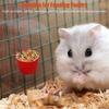 A Top Quality 12Pcs Chickens Rabbit Feeders for Cage,Hanging Chicken Water Feeder Cup, Plastic Birds Feeders Seed Bowl