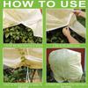High Quality Antifreeze   Your Plants From Frostbite In Winter