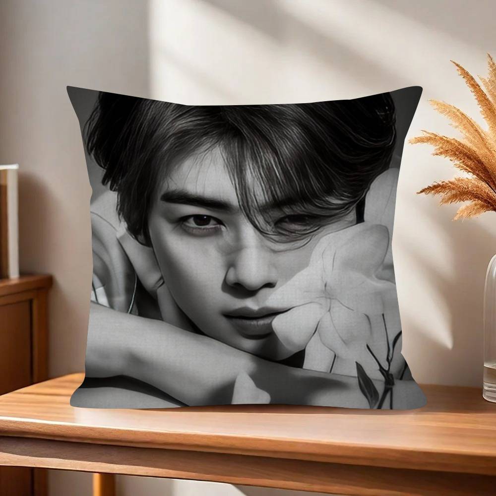 Singer Cha Ido EunWoo  45*45cm Cushion Cover Pillow Cover Decor Pillowcase Home Pillowcase for Couch Pillow