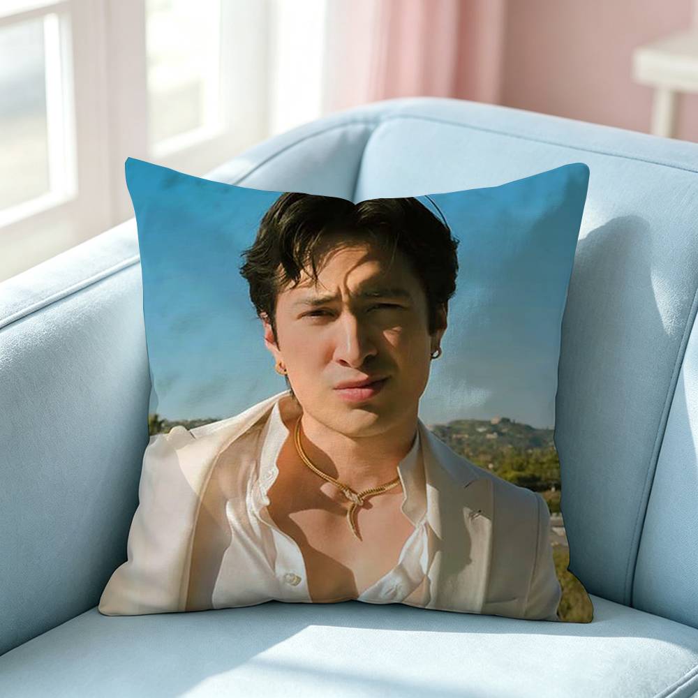Hudson WWilliams SShane Hollander Pillow Case Square DoubleSided Sofa Cushion Cover Bedroom Bedside Pillow