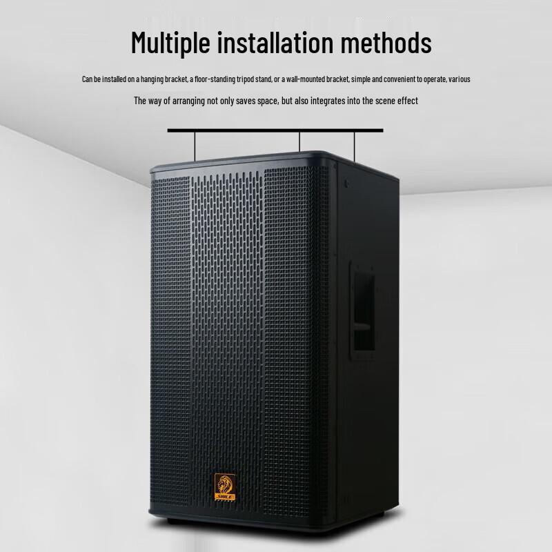 SHILE BX-115 15-inch Professional Multi-Scene Speaker CN Plug (adapter Included)