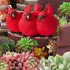 Cardinal Bird Succulent Pots Bonsai,Indoor Outdoor Cardinal Trio Resin Planter,Red Birds Triplets Decorative Plant Red S 16x9cm