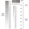 Liangtong J-06 Badge and Line Stain Measurement Ruler