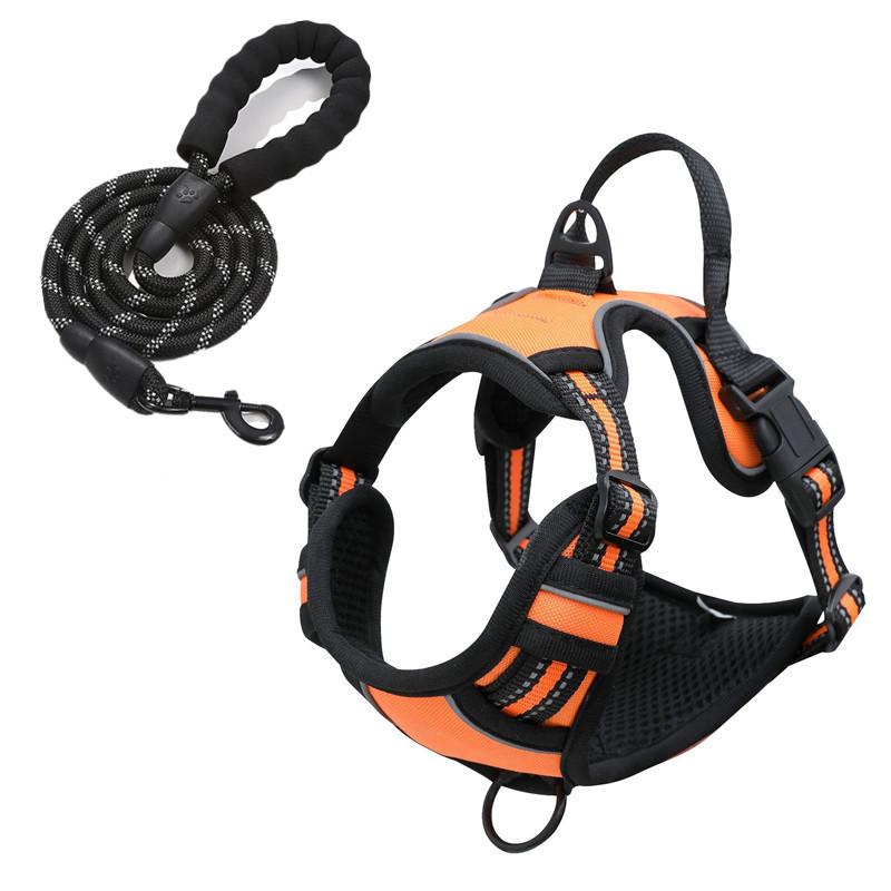 Set Ham Reflectorizant Dublu Strat pentru Câine și Lesă cu Guler cu Cataramă