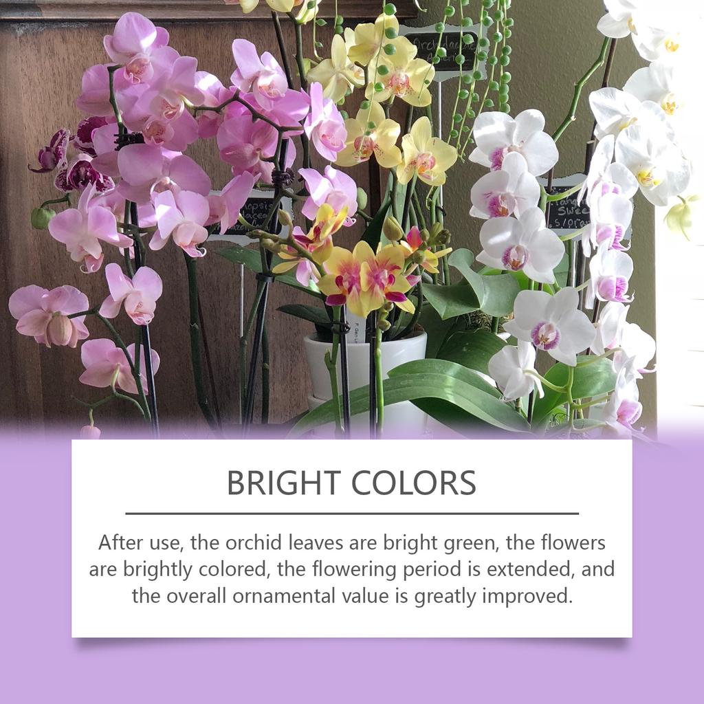 Orchid Plant Growth Agent Special Nutrient Solution For Flowers And Green Plants Suitable For Orchid Potted Plants 50ML