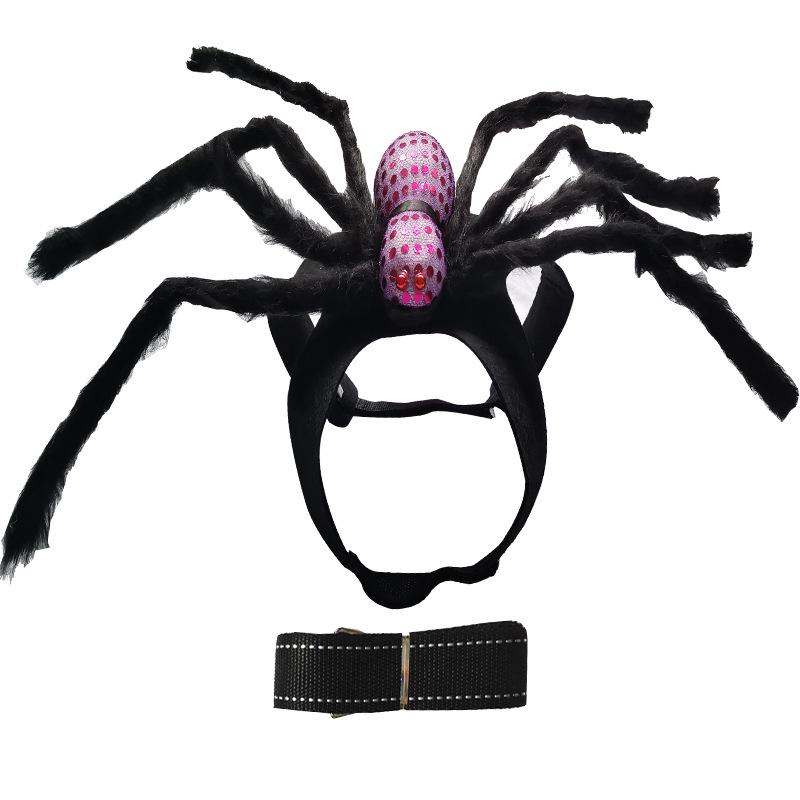 Spider and Skull Costume for Small to Medium Pets
