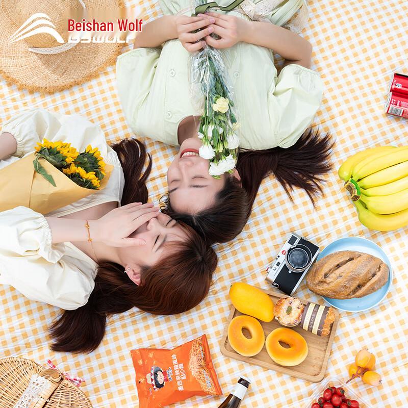 Outdoor Portable Picnic Mat