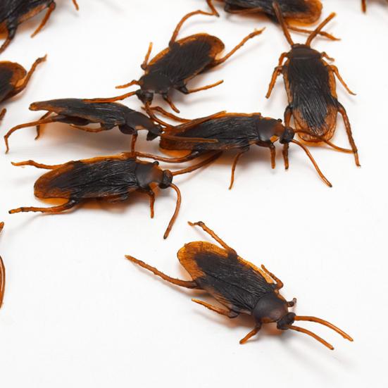12Pcs Funny Plastic Simulation Cockroach Bug Fly Trick Toy Halloween Party Props