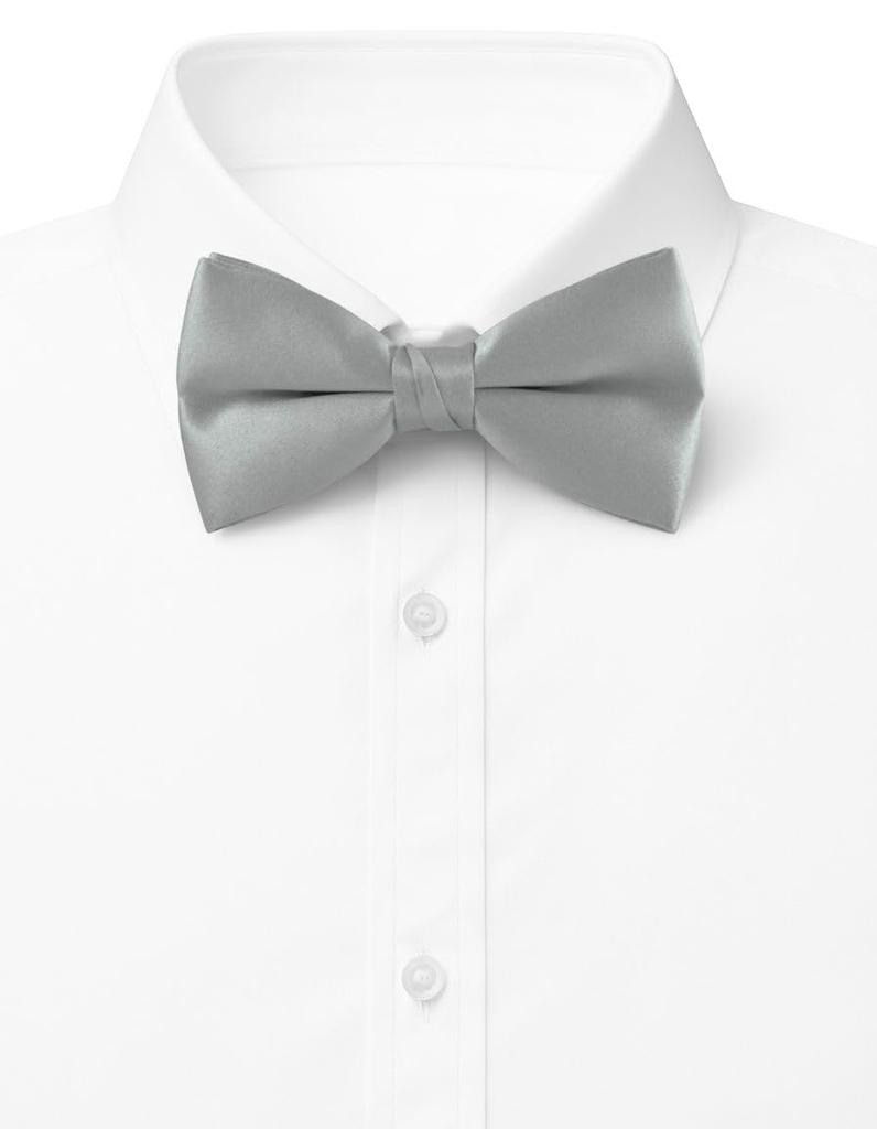 Silver Bow Tie bc00003