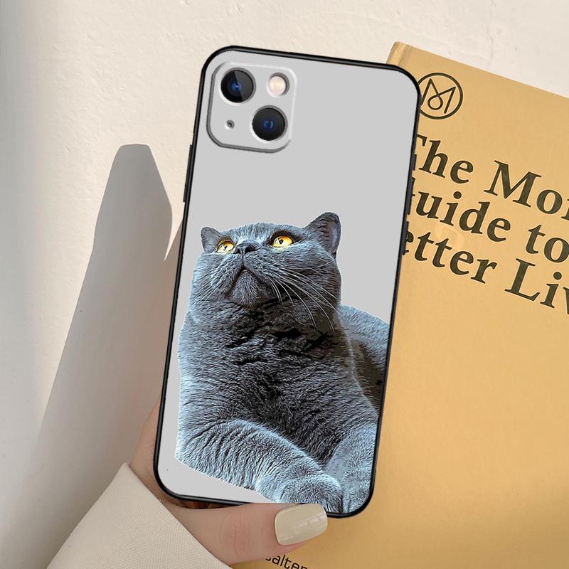 British Shorthair Cat Phone Case For iPhone 17 16 15 14 11 12 13 Pro Max Mini XR 16e 15 16 Plus 17 Air Full Cover