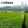 Iwasaki-en Seicha Yame Tea Leaves Premium 2025 Harvest 100g Bag Sencha First Harvest Special Selection