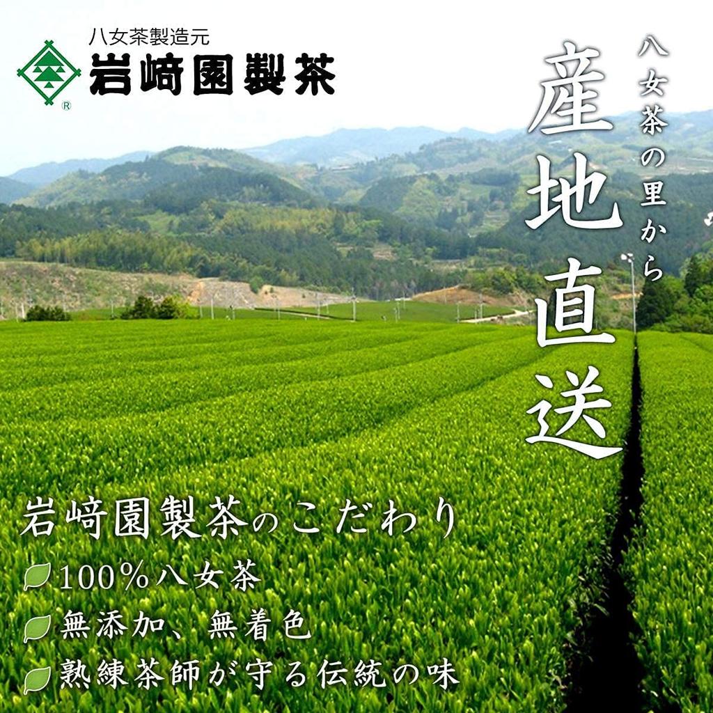 Iwasaki-en Seicha Yame Tea Leaves Premium 2025 Harvest 100g Bag Sencha First Harvest Special Selection