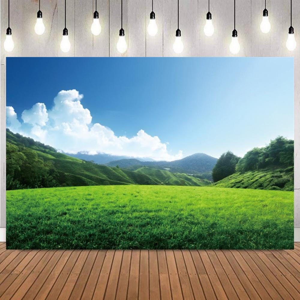 Spring Mountain Forest River Scenery Photo Backdrop Nature Landscape Portrait Shooting Home Decor Photography Background8