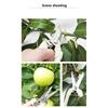 Multifunctional Stainless Steel Fruit Picking Shears Tree Pruning Shears Flower Grafting Gardening Scissors Flower Cutting