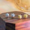 Niche Fireworks Earrings for Women Designed New Style Atmosphere Versatile Compact Style